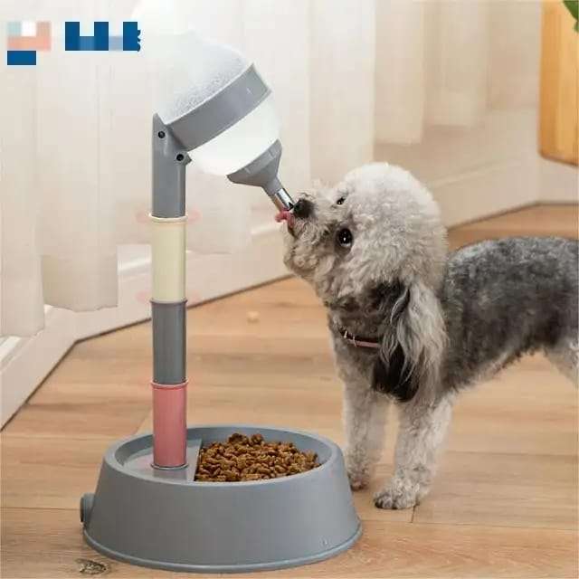 Pet feeder with Water Bottle