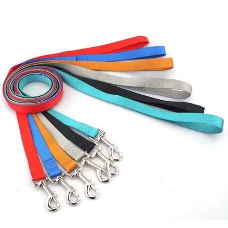 SaaS Dog Nylon Leash