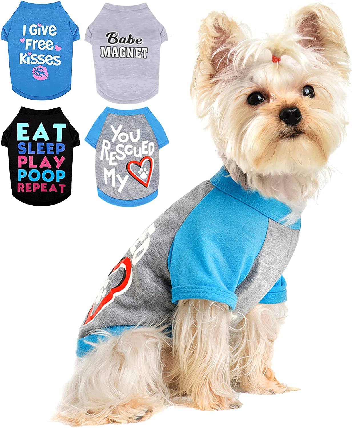 Tshirts for Small Dogs