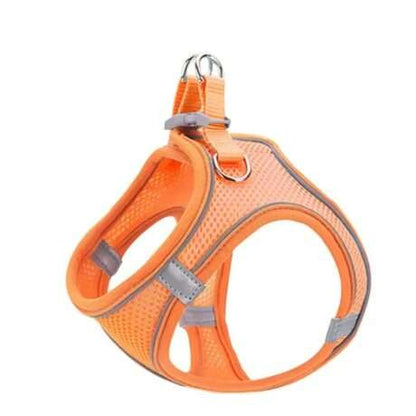 SAAS PET MESH HARNESS + LEASH