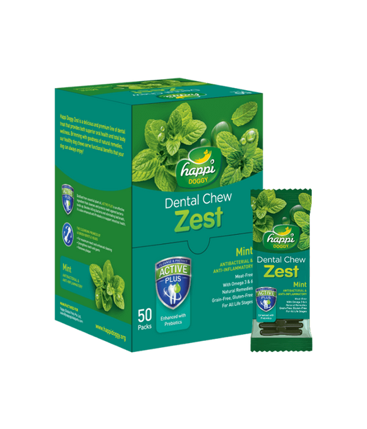 Happi Doggy Dental Chew Zest-Mint-4'' (Display Box-50pcs)