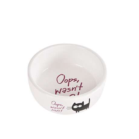 Pet Ceramic Food Bowl